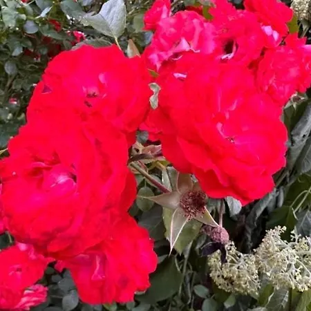 Apartman Monteu -ferin 1-5xdouble