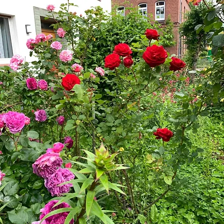 Monteu -ferin 1-5xdouble * Brakel