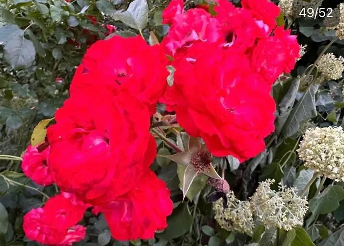 Apartmán Monteu -ferin 1-5xdouble