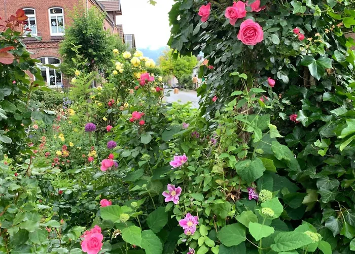 Apartmán Monteu -ferin 1-5xdouble *